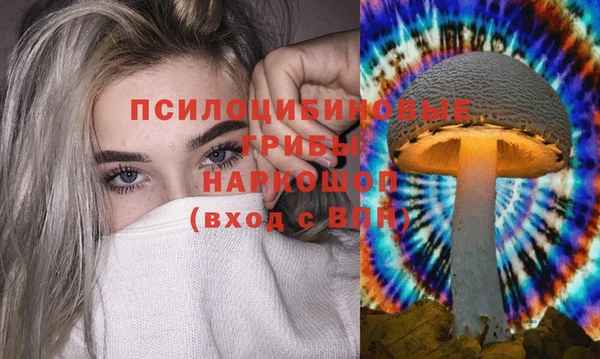 ECSTASY Абинск