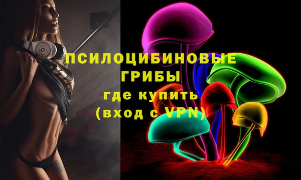 стафф Алексеевка